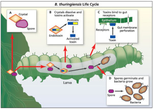 313721_5jKnmCQAxzRDatU5NhnGlsVeH